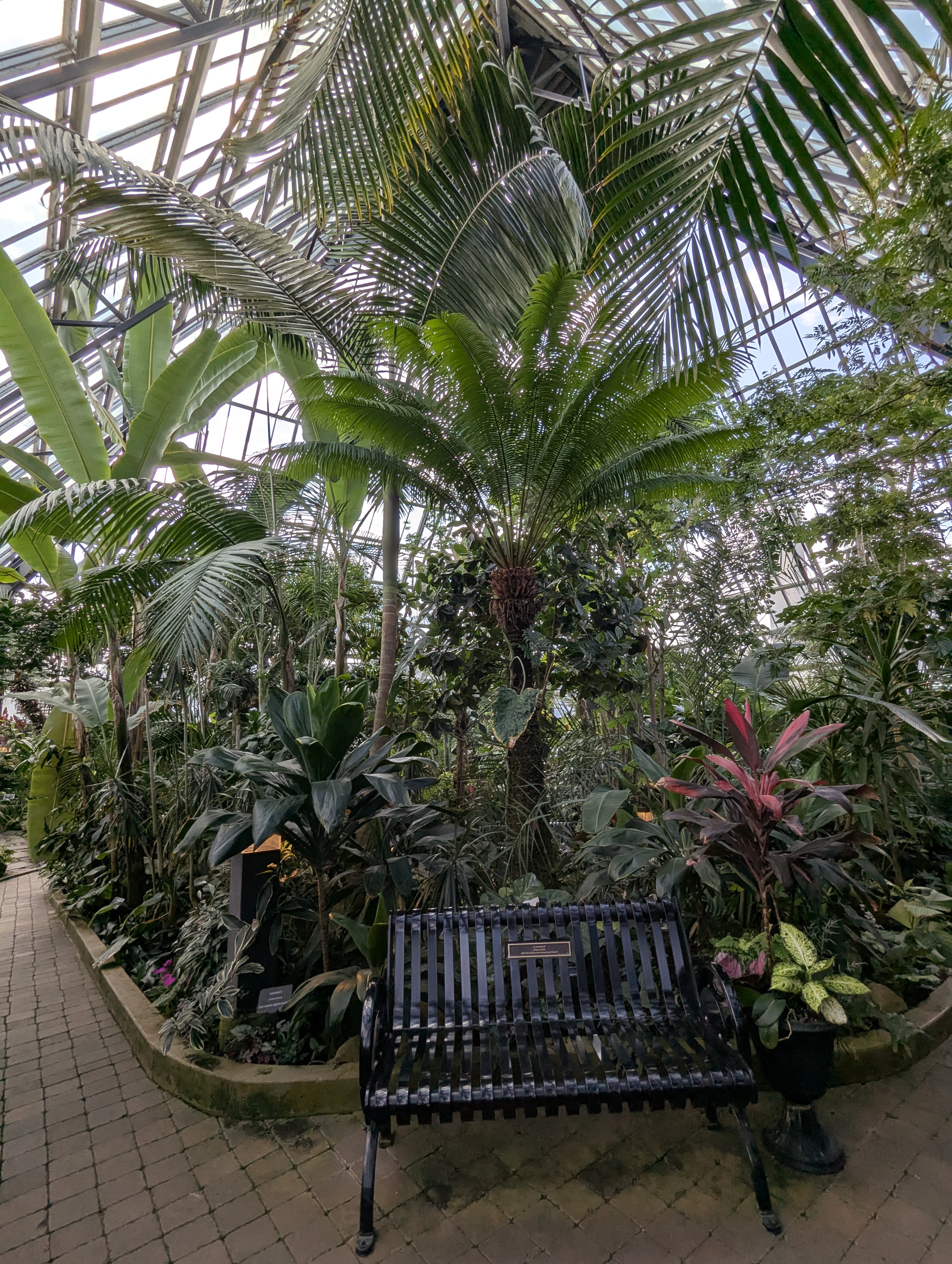 Birthday Trip to Canada, Edmonton, Pyramids, Muttart Observatory